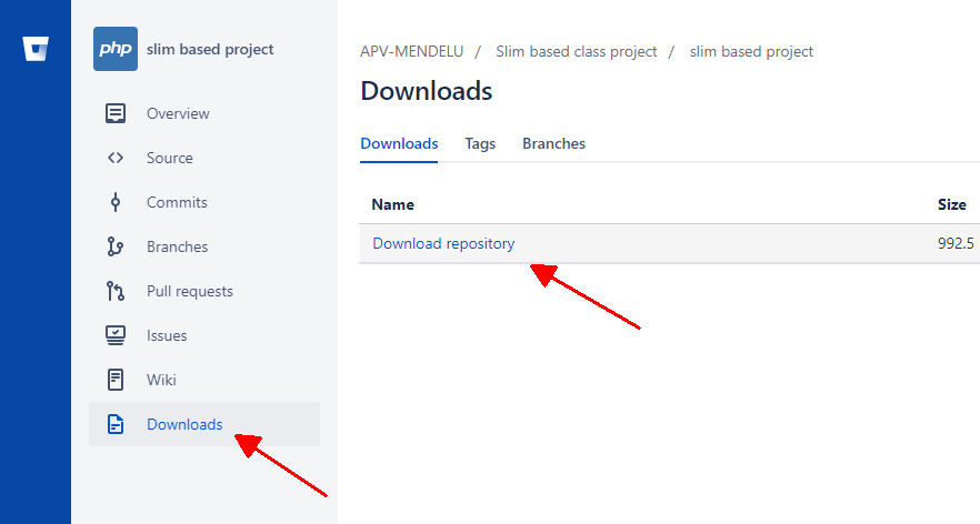 Screenshot - Download Repository